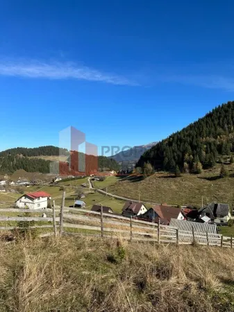 Teren Fundata - poza 17
