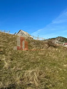 Teren Fundata - poza 10