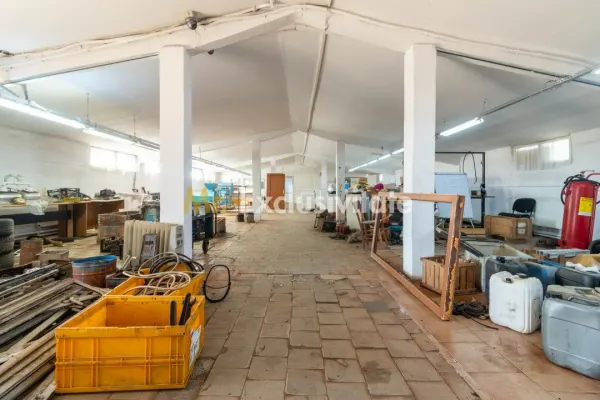 Spațiu industrial Cateasca - poza 10