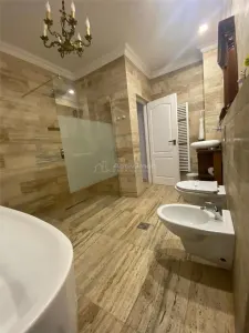 Hotel/Pensiune Hunedoara - poza 2