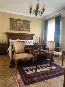 Hotel/Pensiune Hunedoara - poza 16
