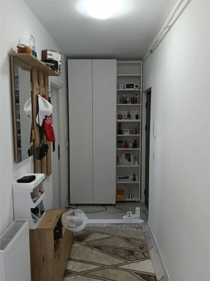 Apartament 1 camera Lunca Cetățuii - poza 1