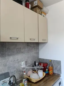 Apartament 1 camera Lunca Cetățuii - poza 9