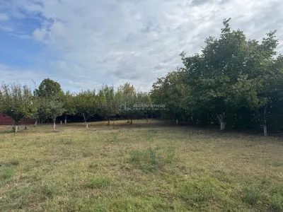 Teren Popești-Leordeni - poza 9