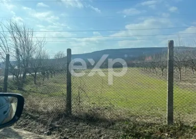 Teren Calinesti - poza 4