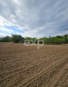 Casă 4 camere Barla - poza 2