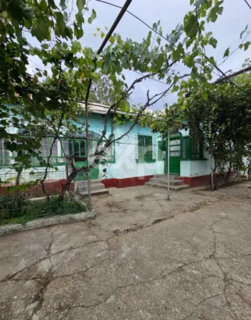 Casă 4 camere Barla - poza 3