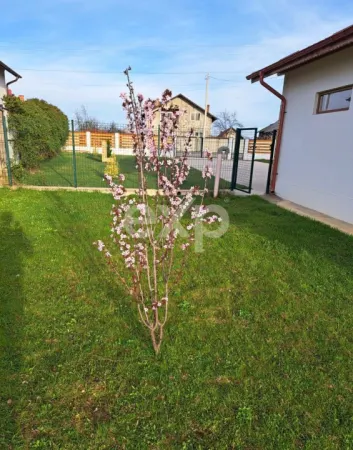 Casă 4 camere Cuca - poza 3