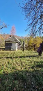 Teren Nucsoara - poza 5
