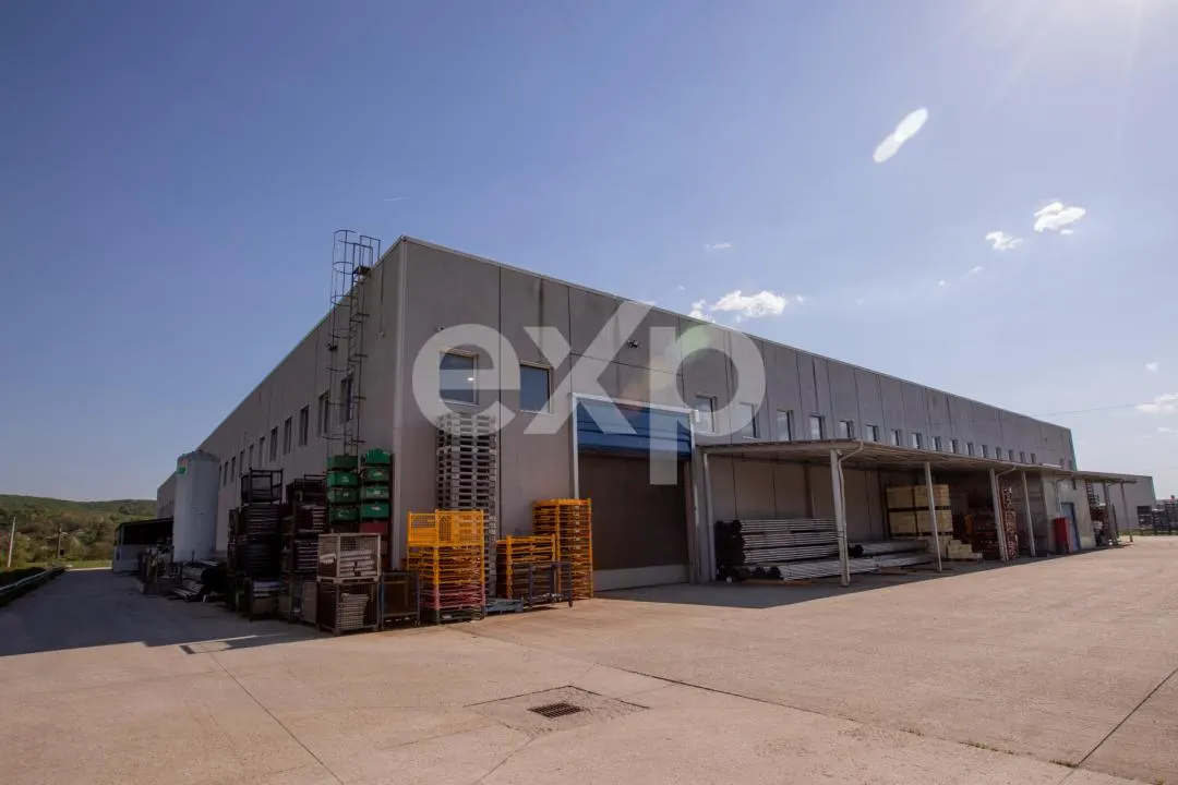 Spațiu industrial Mioveni - poza 1