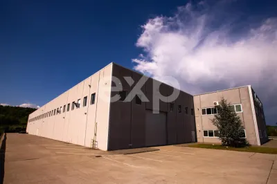 Spațiu industrial Mioveni - poza 2