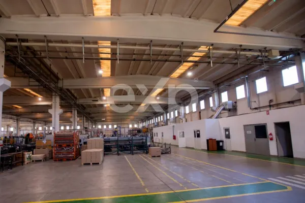 Spațiu industrial Mioveni - poza 5