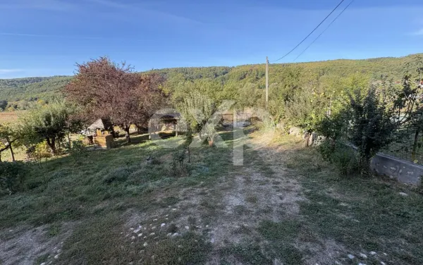 Casă 4 camere Micești - poza 2