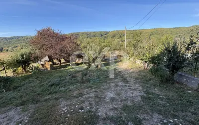 Casă 4 camere Micești - poza 2