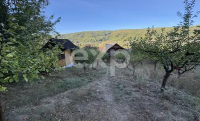 Casă 4 camere Micești - poza 3