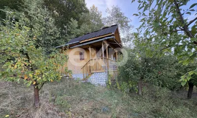 Casă 4 camere Micești - poza 5