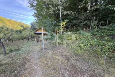 Casă 4 camere Micești - poza 6