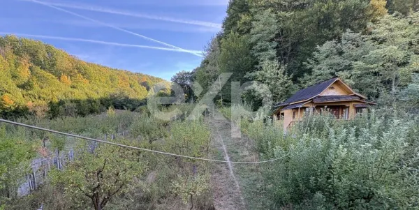Casă 4 camere Micești - poza 7