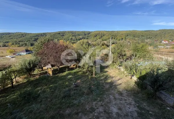 Casă 4 camere Micești - poza 8