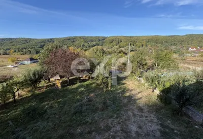 Casă 4 camere Micești - poza 8