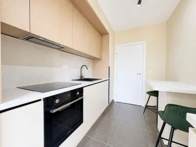 Apartament 2 camere Timișoara - poza 8