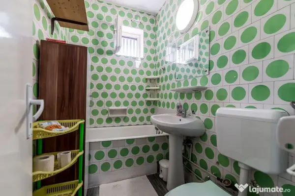 Apartament 1 camera Arad - poza 6