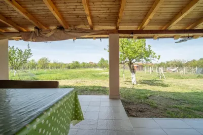 Casă 4 camere Paulis - poza 15
