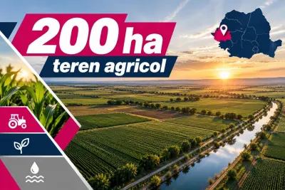 200 ha teren agricol de vanzare in Arad - Barsa