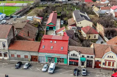 3 surse de venit într-o SINGURĂ proprietate de 950 mp în Aradul Nou - Arad
