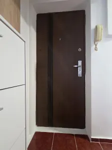 Apartament 3 camere Timișoara - poza 9