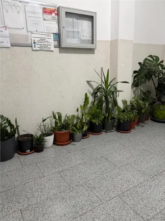 Apartament 2 camere București - poza 19