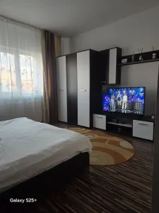 Apartament 3 camere Craiova - poza 5