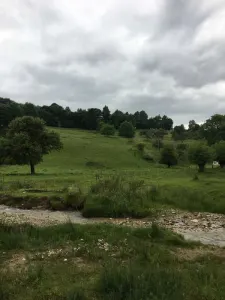 Teren Bran - poza 2