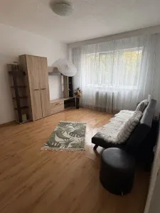 Apartament 2 camere Piatra Neamț - poza 8