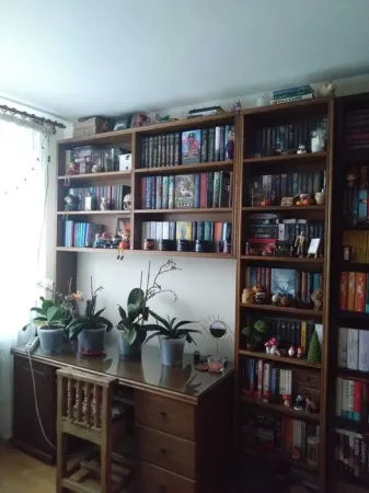 Apartament 2 camere Piatra Neamț - poza 4
