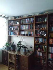 Apartament 2 camere Piatra Neamț - poza 4