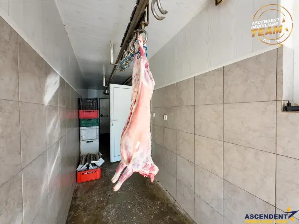 Spațiu comercial Sfântu Gheorghe - poza 45