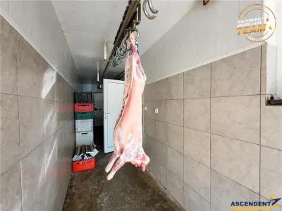 Spațiu comercial Sfântu Gheorghe - poza 45