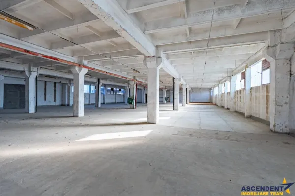 Spațiu comercial Sfântu Gheorghe - poza 22