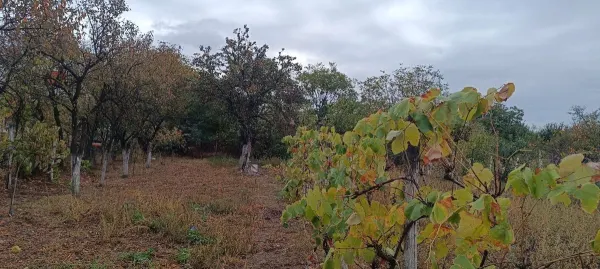 Casă 4 camere Masloc - poza 28