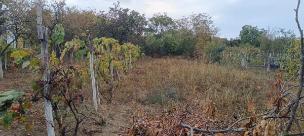 Casă 4 camere Masloc - poza 29