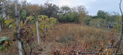 Casă 4 camere Masloc - poza 29