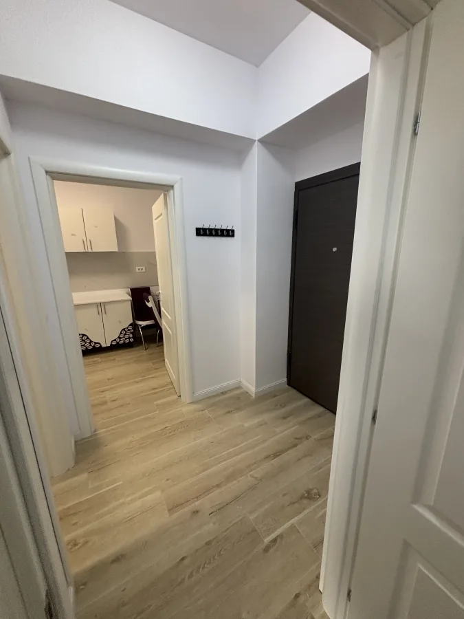 Apartament 1 camera Iași - poza 5