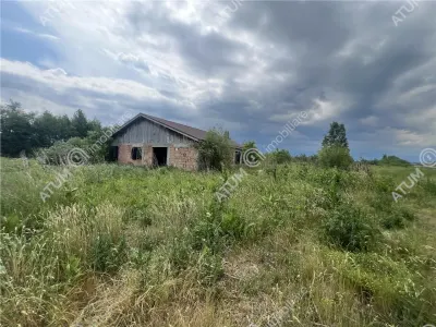 Teren Daia - poza 2