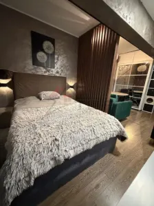 Apartament 1 camera Iași - poza 2