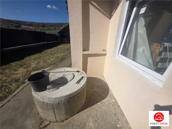 Casă 3 camere Gruisor - poza 3