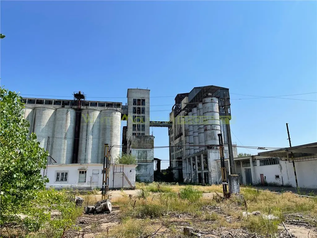 Spațiu industrial Peris - poza 1