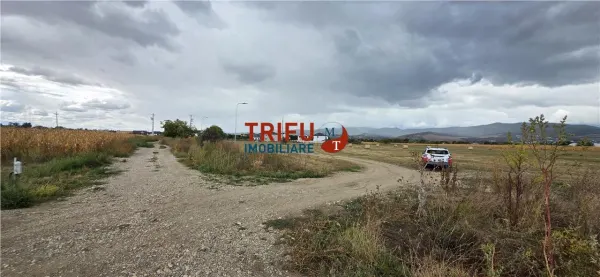 Teren Alba Iulia - poza 4