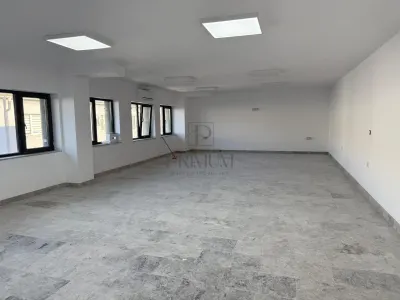 SPAȚIU COMERCIAL PREMIUM DE ÎNCHIRIAT ÎN MOȘNIȚA NOUĂ | ACCES TIR & CAMIOANE - Mosnita Noua
