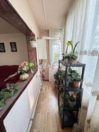 Apartament 3 camere Timișoara - poza 17